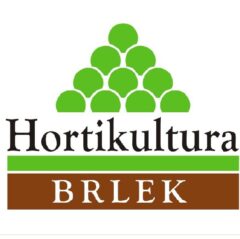 Hortikultura, Boris Brlek s.p.